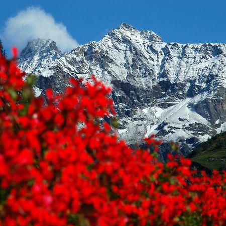 Hotel Tremoggia Chiesa in Valmalenco Esterno foto