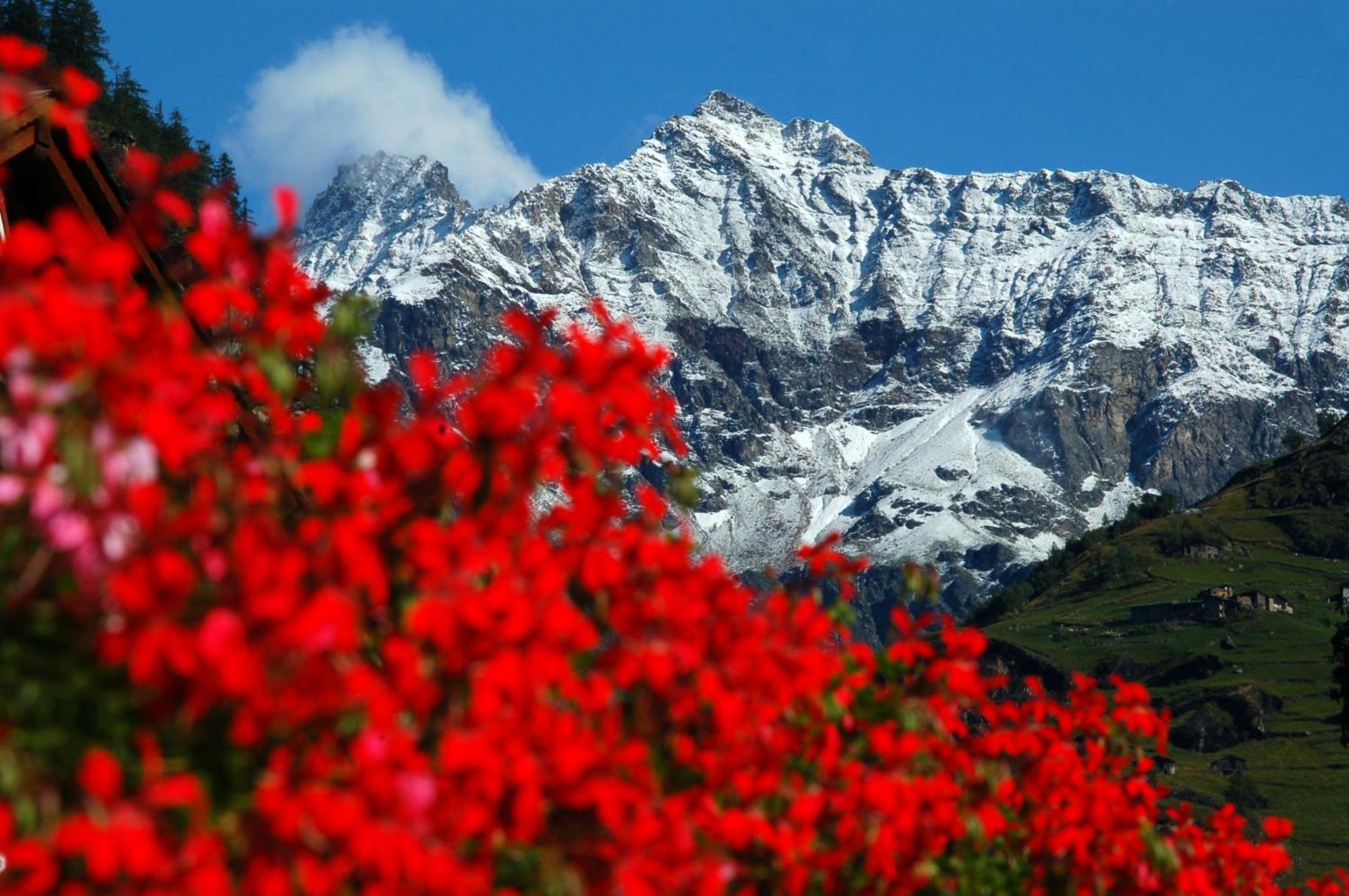 Hotel Tremoggia Chiesa in Valmalenco Esterno foto